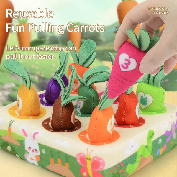 Baby Montessori Toy Toddler